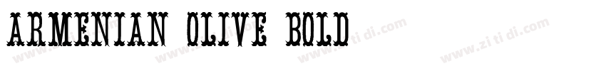 Armenian Olive Bold字体转换
